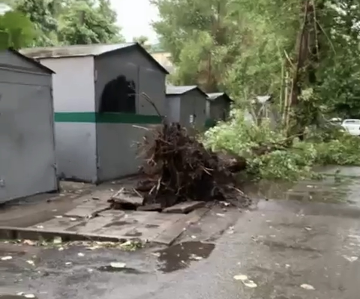    Фото: скриншот видео из «Омск Live» во «ВКонтакте»