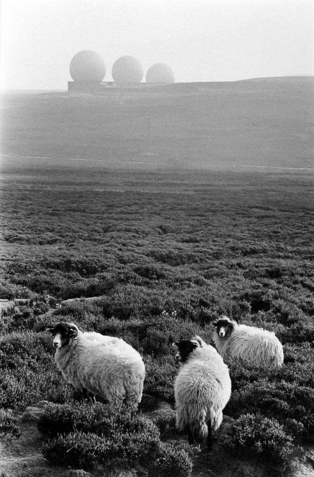 Фотограф Мартина Франк