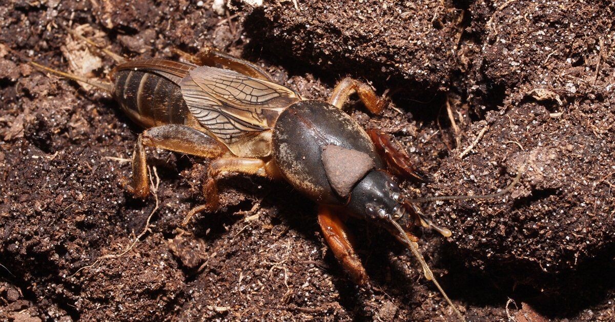 Фотография взята из открытых источников