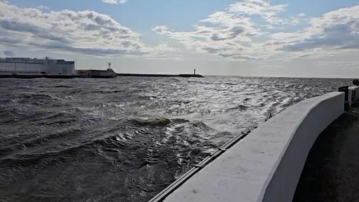    Фото: t.me/dambaspb