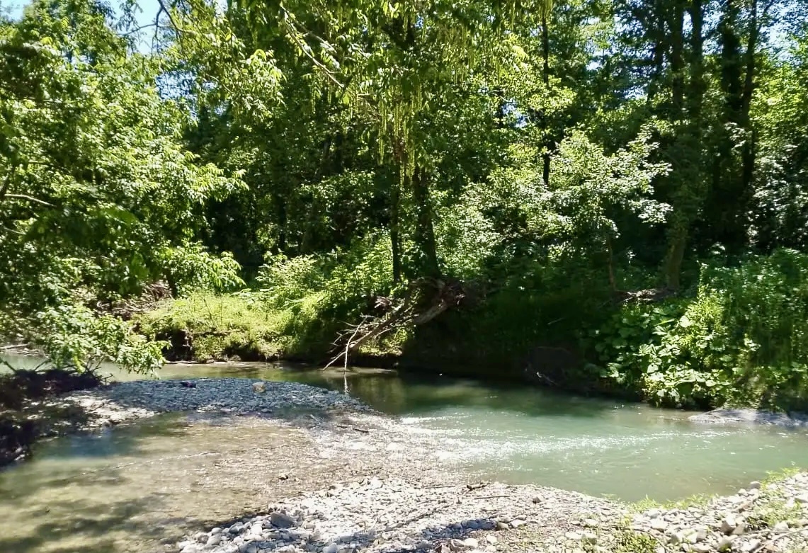 Прозрачная река Хобза