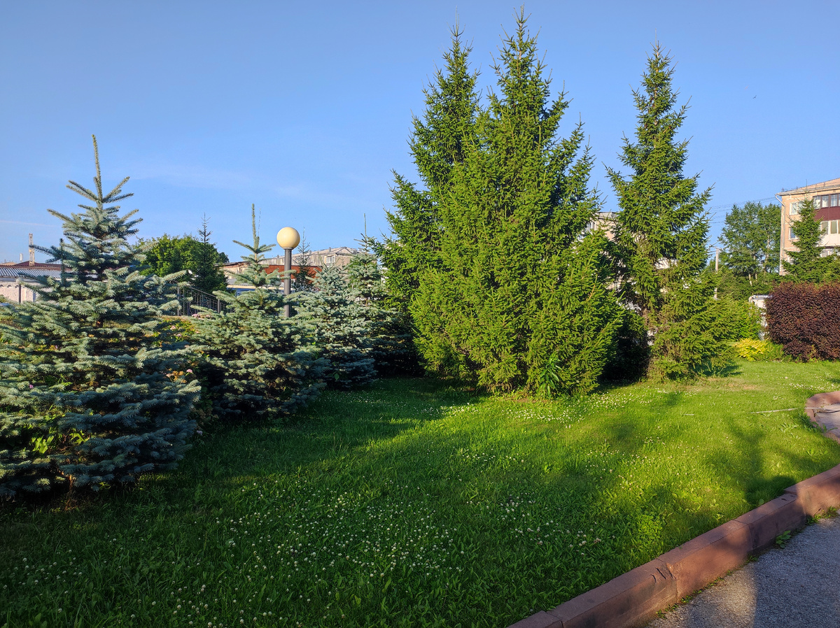 Фото автора 