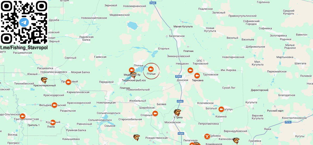 Платная рыбалка водоем "Птичье"