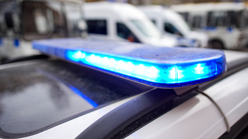    Фото: ИЗВЕСТИЯ/Сергей Лантюхов; 5-tv.ru