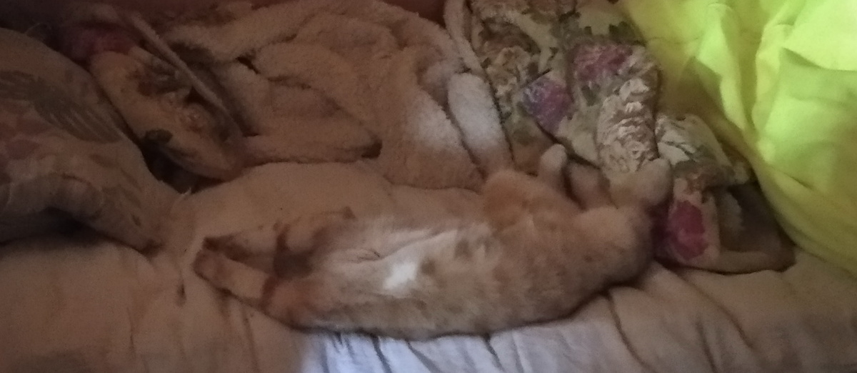 личное фото