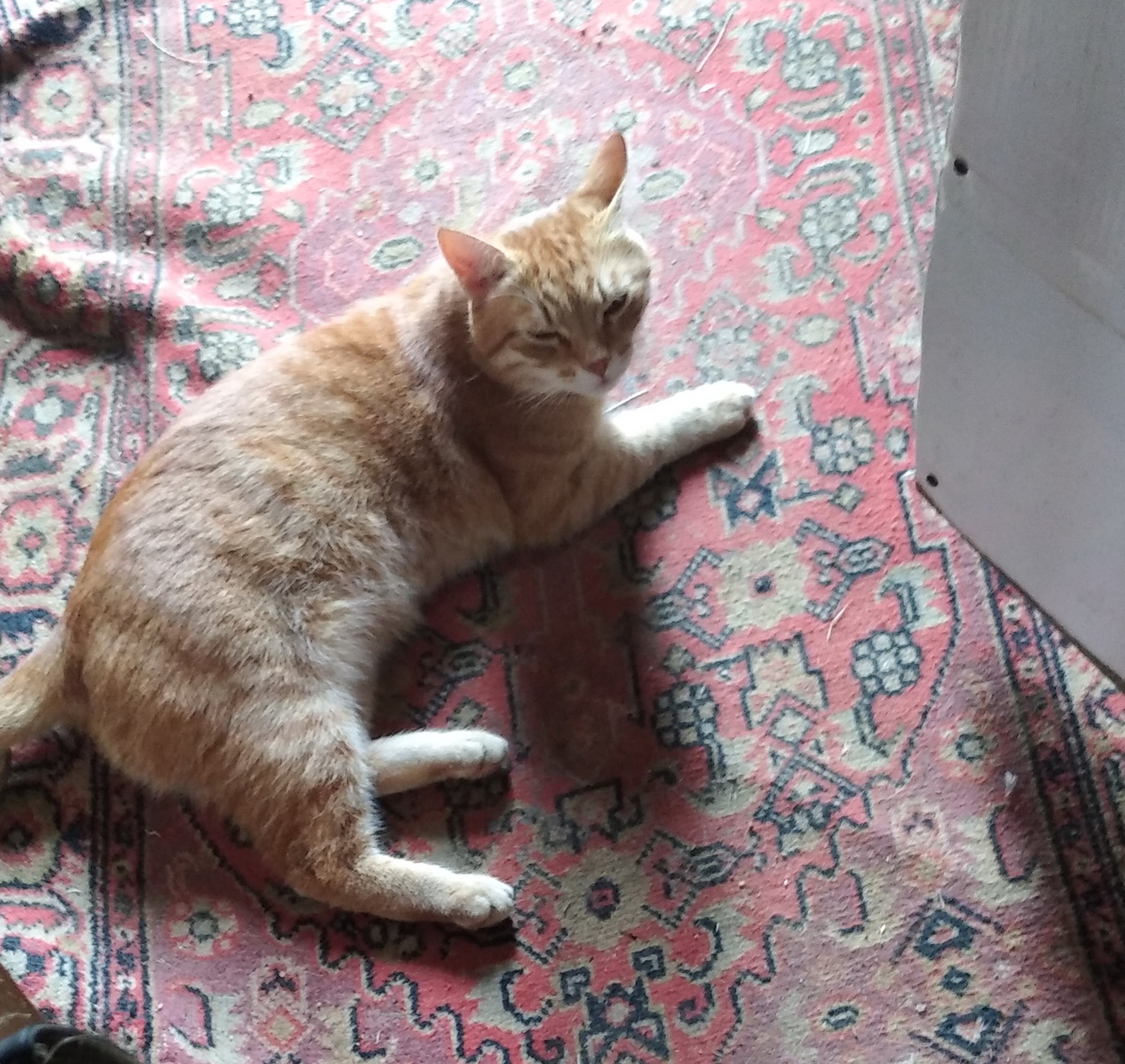 личное фото