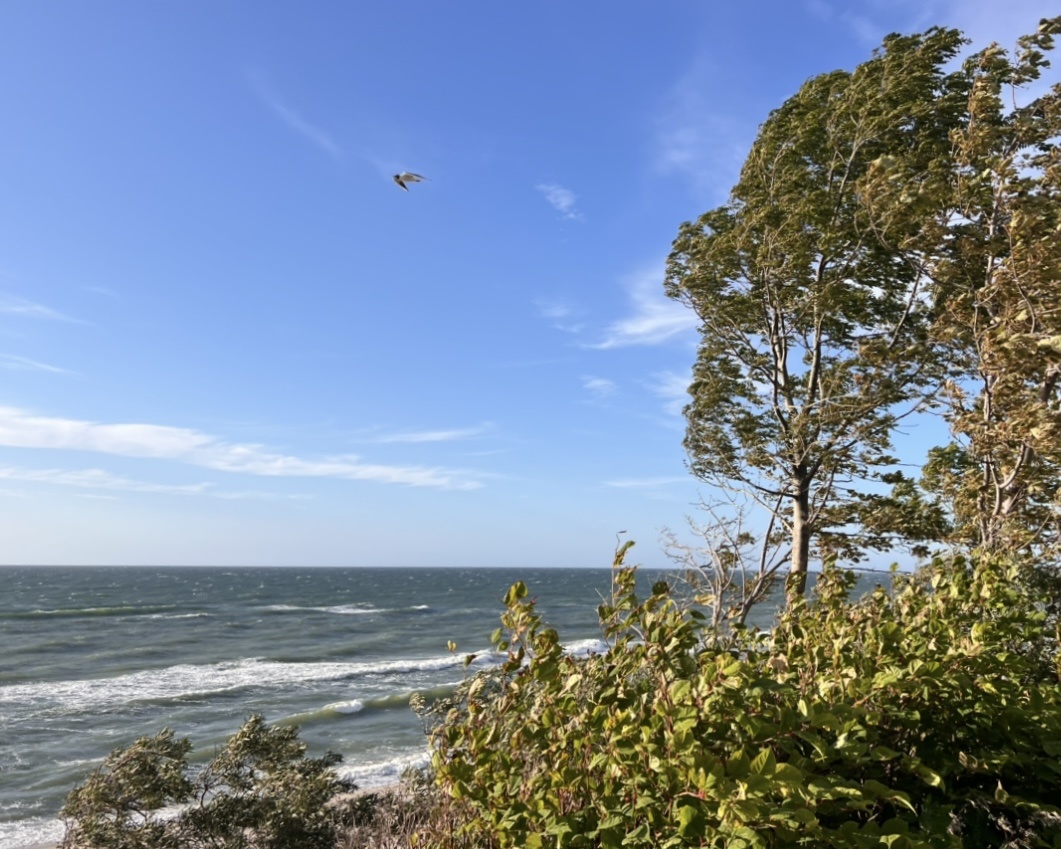 Не ураганный шторм.