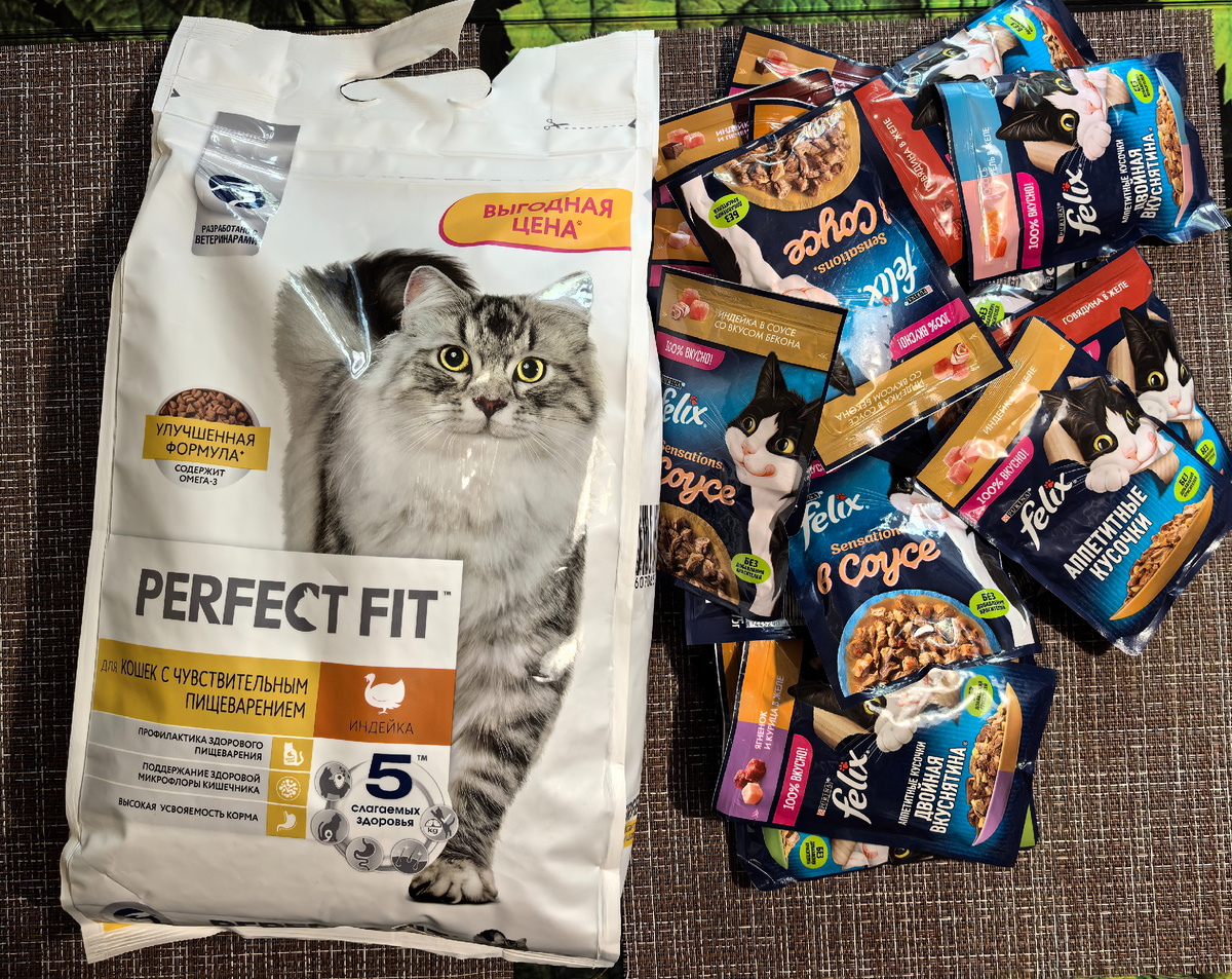 Питание котиньке