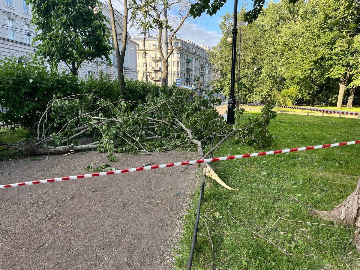 Фото: Neva.Today