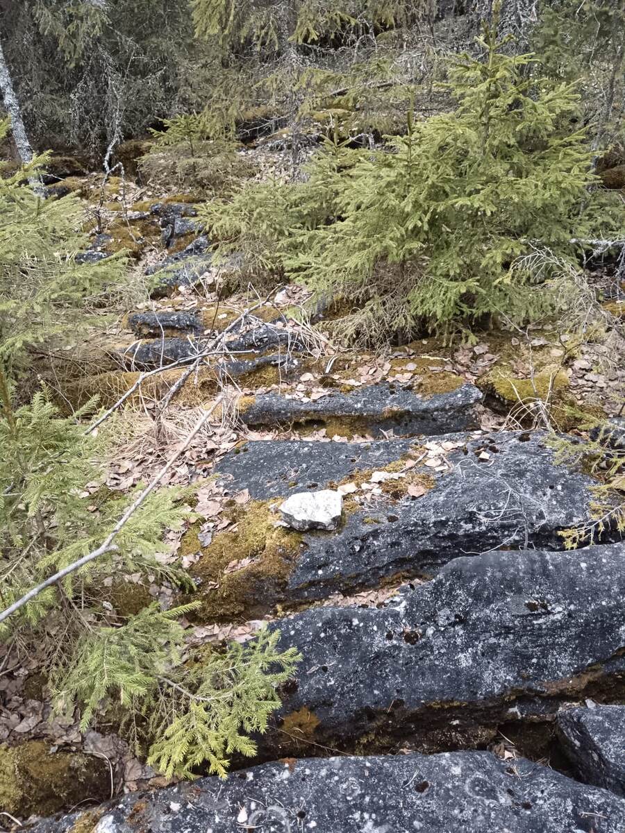 Скальная поляна на Берегу Сунозера