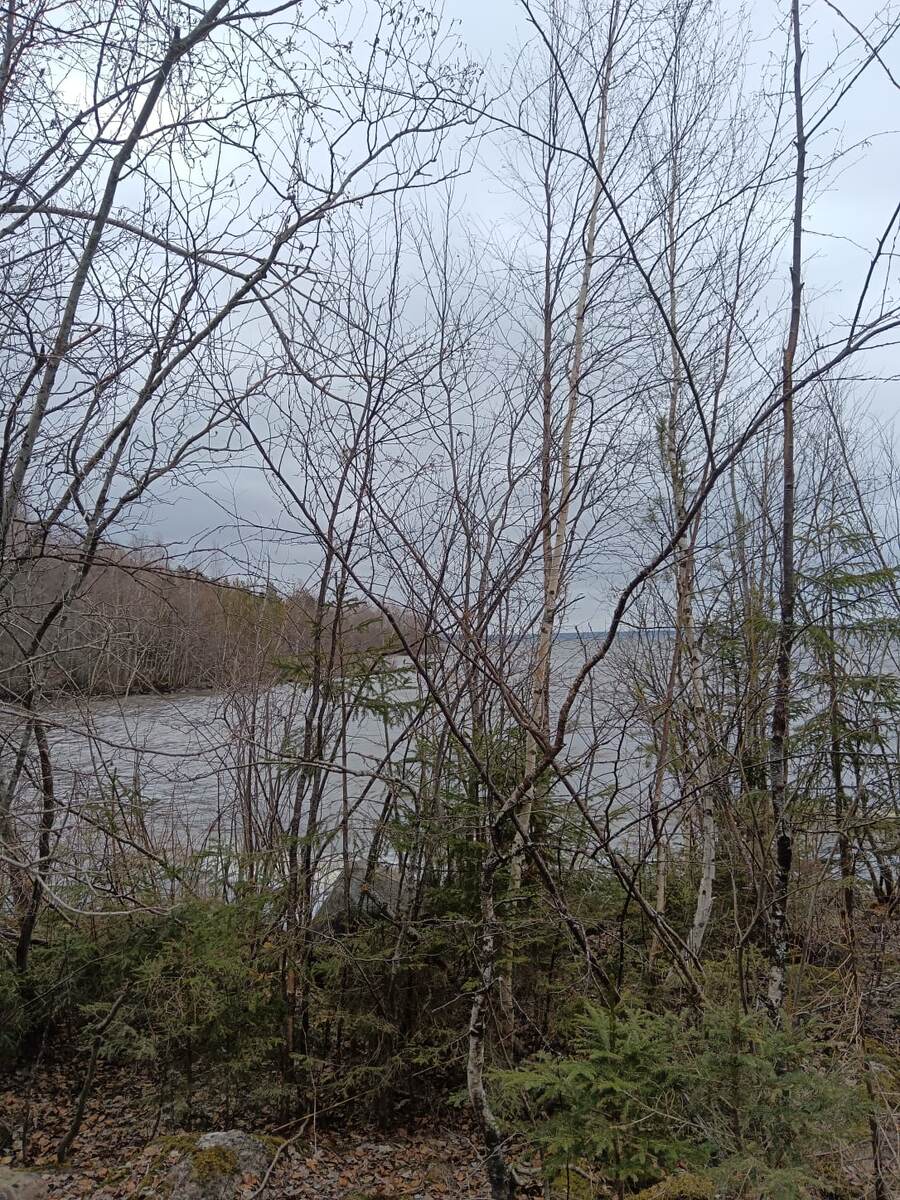 Весеннее Сунозеро