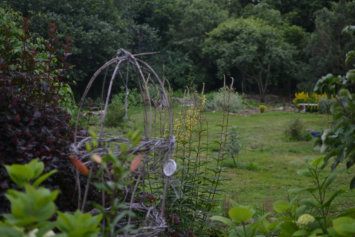 Вид на холм