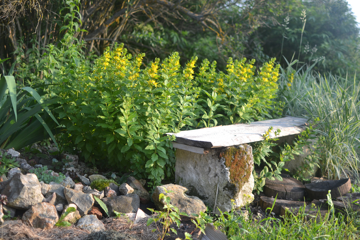 Лавочка на холме 