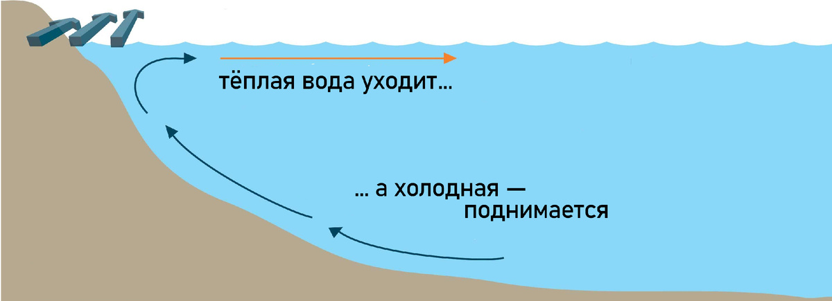 У Крыма вода поднимается с глубины 20-40 метров (в некоторых источниках пишут — до 75 метров)