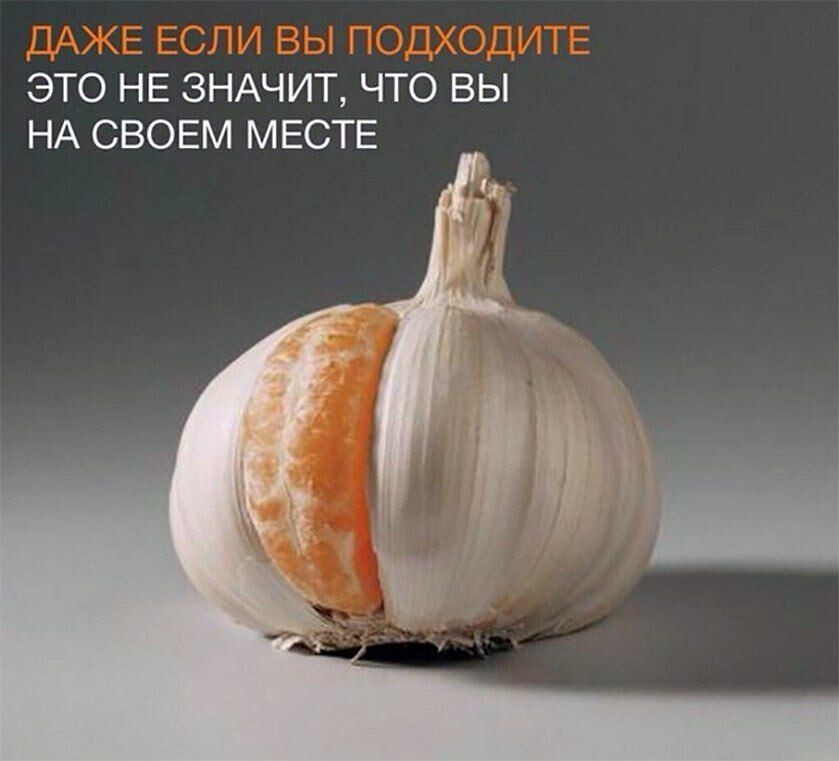 Фото из сети