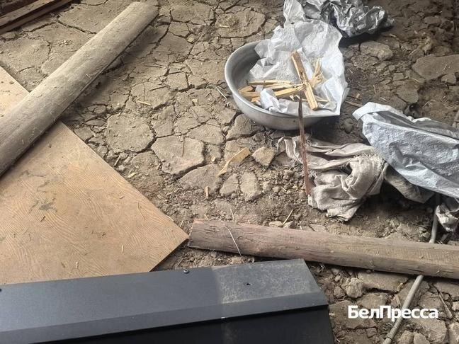 Фото: Алексей Стопичев