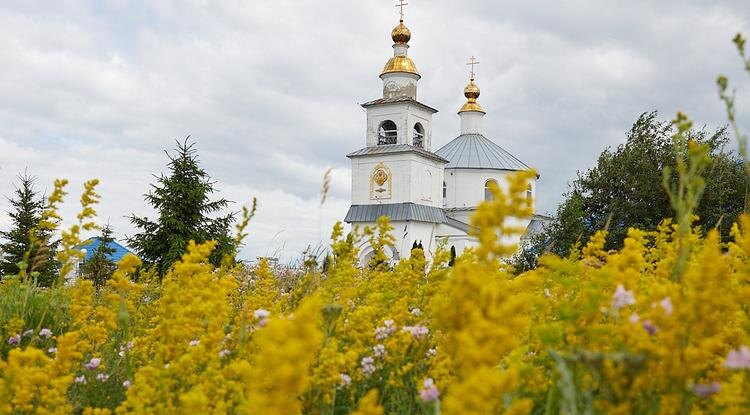 Фото: Елена Журавлёва