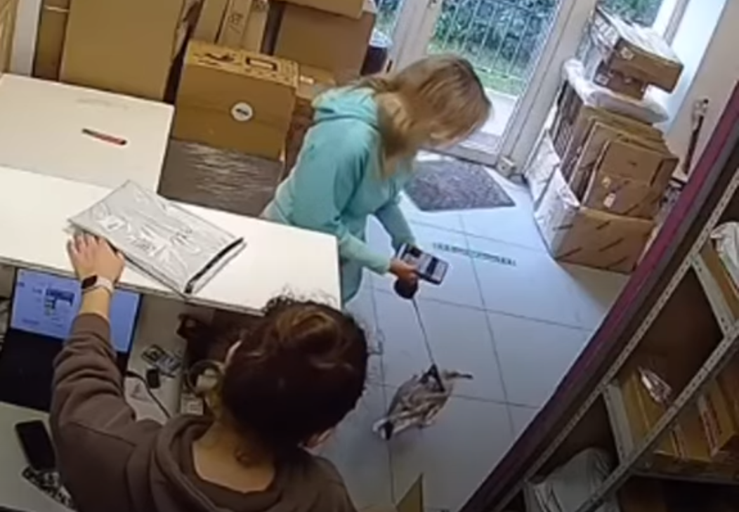 Фото: youtube.com