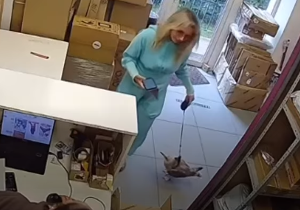 Фото: youtube.com