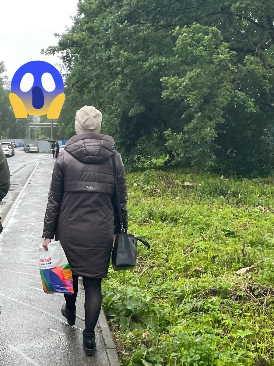 Сегодня утром соседи одевались так