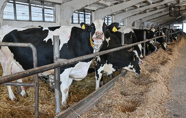 Игорь Онучин/ТАСС