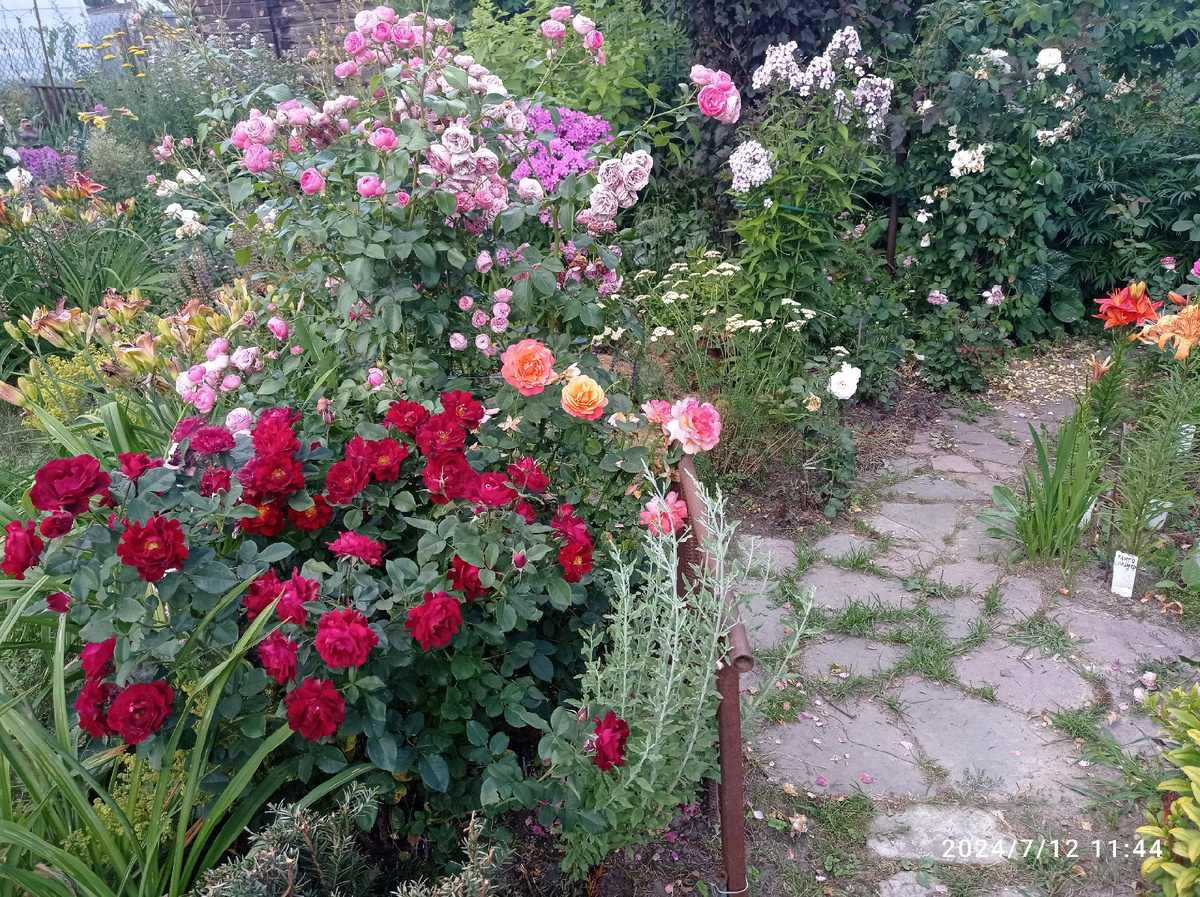 прошлое лето