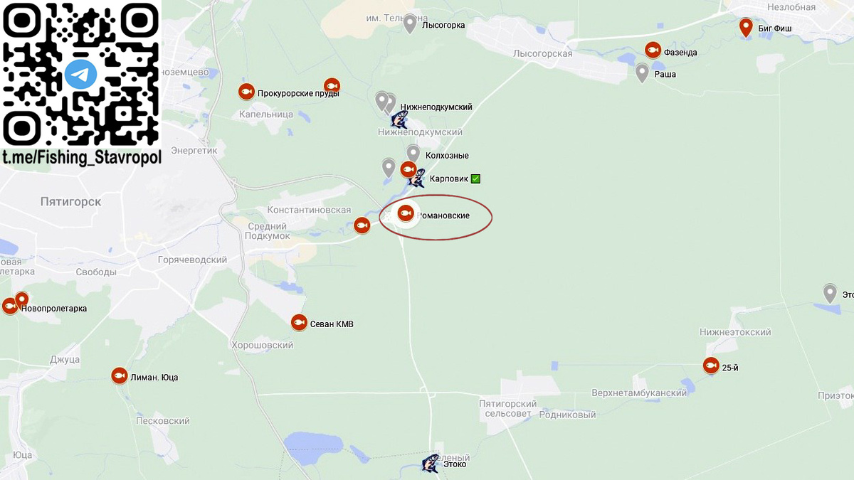 Платная рыбалка водоем Романовские пруды