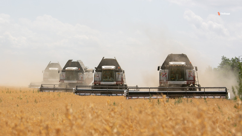      Фото: Валерия Алтухова / / ИА «Победа26»