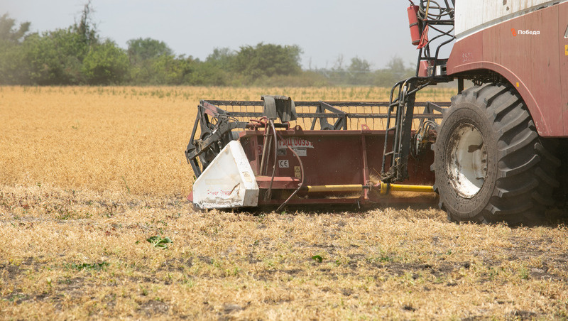    В работе по сбору урожая задействуют 7,1 тыс. комбайнов Фото: Валерия Алтухова / / ИА «Победа26»