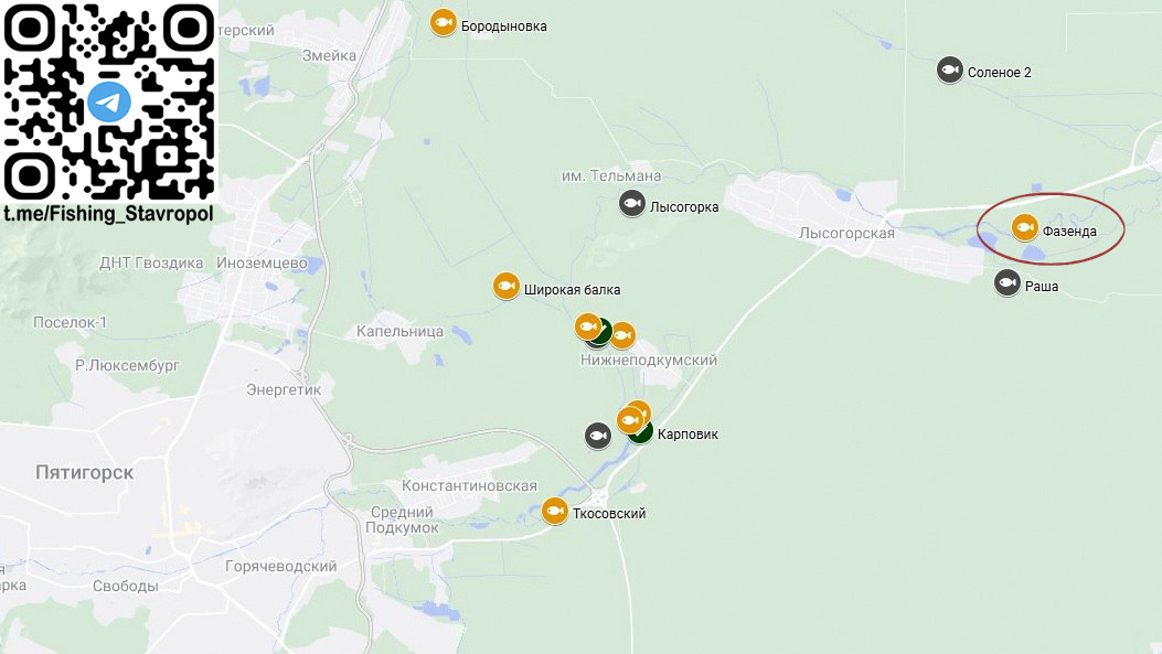 Платная рыбалка водоем "Фазенда"