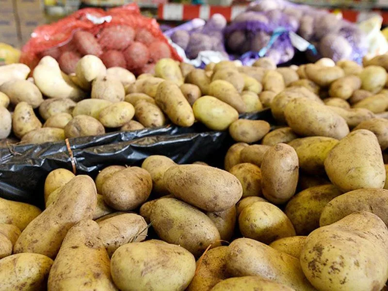 Источник изображения: сайт sevosetia.moyaokruga.ru