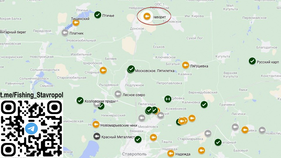 Платная рыбалка водоем "Фаворит"