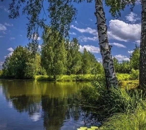 Два берега одной судьбы. Глава 49. Рассказ