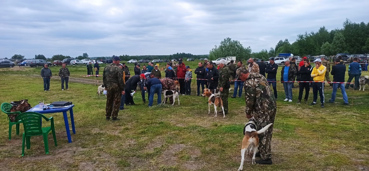 Выставка РОРС