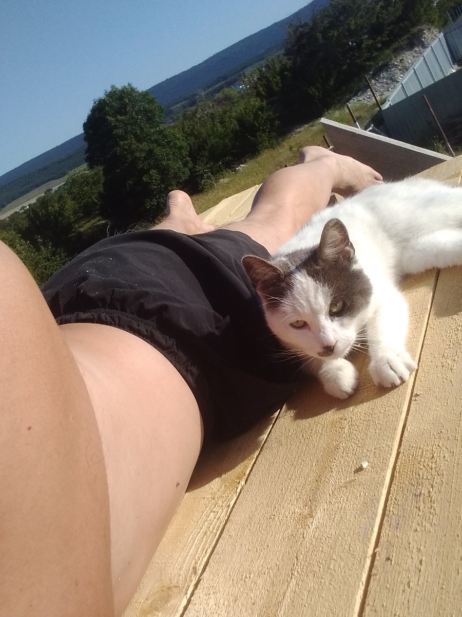 Мой помощник)