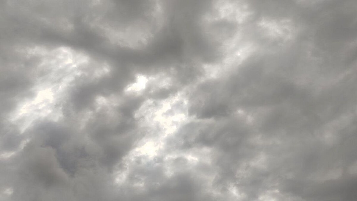    Фото: телеканал «Краснодар»