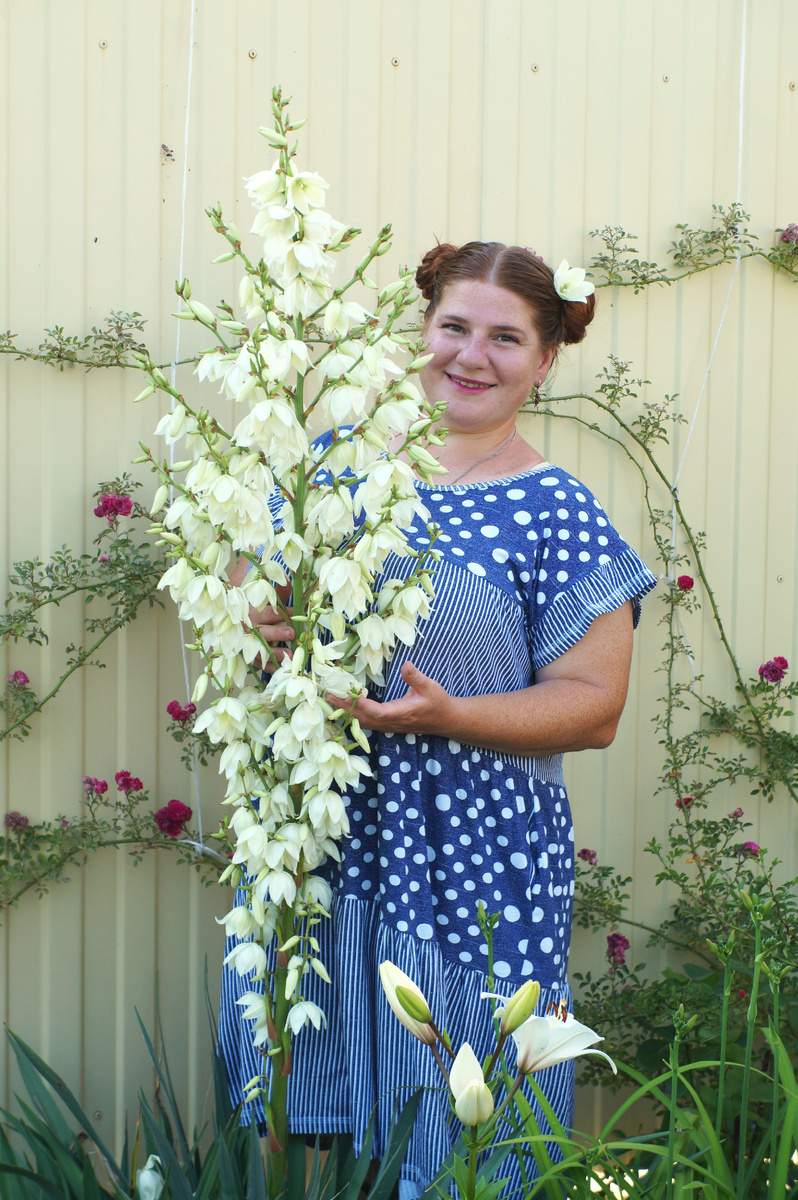 В этом году красавица вымахала выше моих 1,66 м