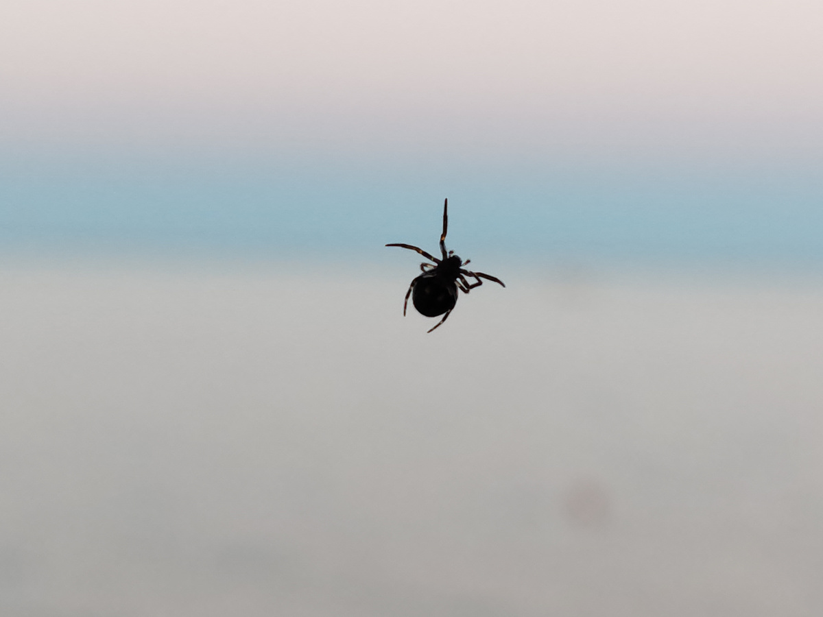 Фото автора канала. 