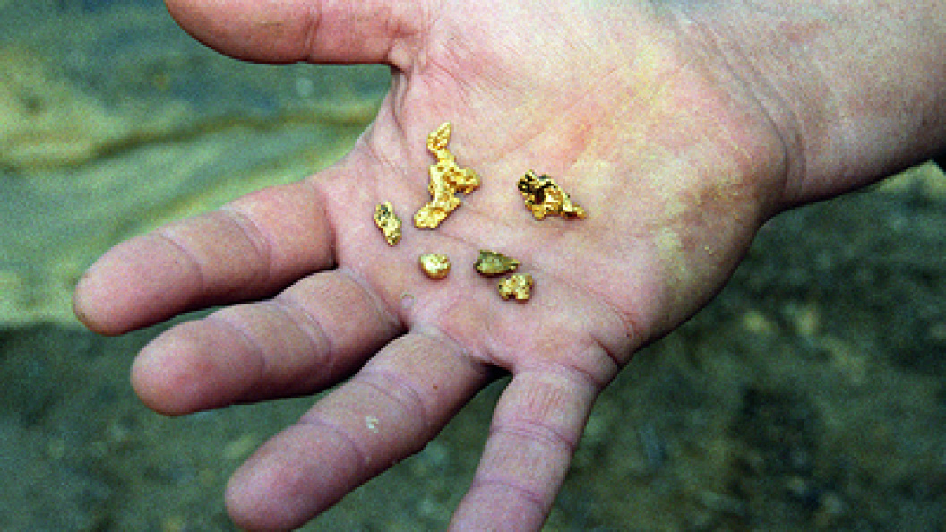    Фото: Vitaly Ivanov/Globallookpress.