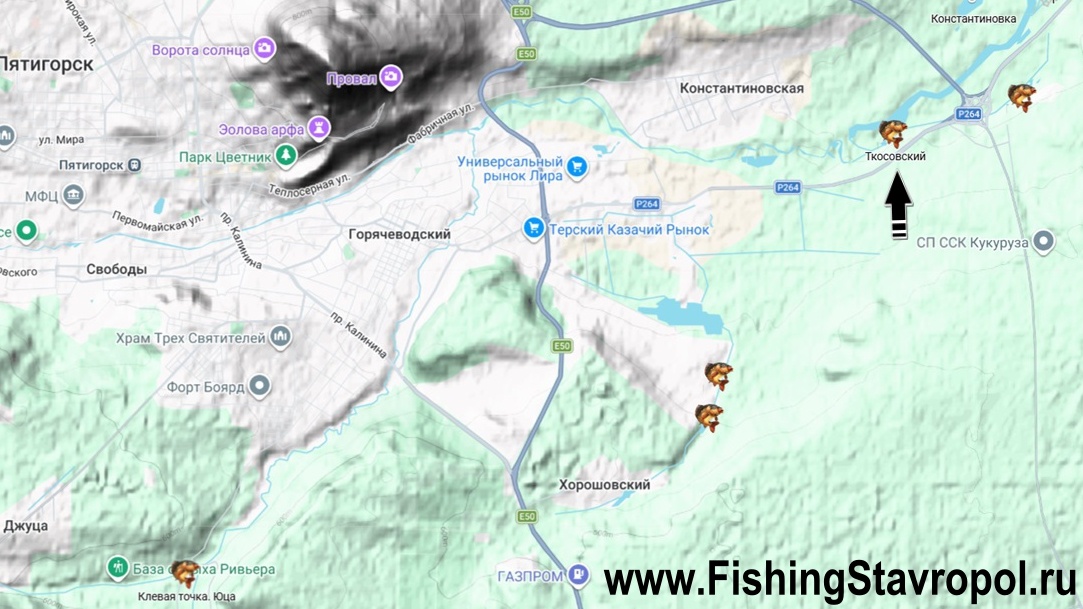 Платная рыбалка водоем "Ткосовский"