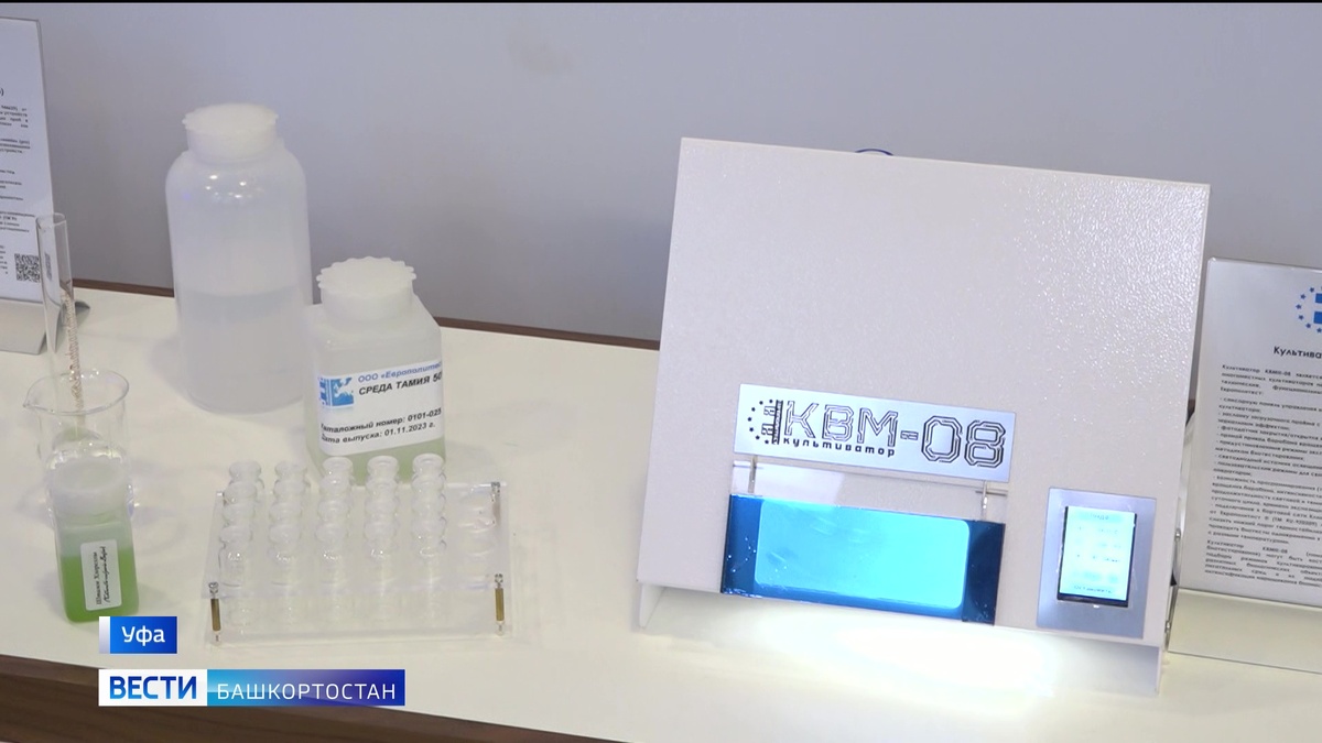    Инновации, новые идеи и сотрудничество: в Уфе завершился Всероссийский съезд советов молодых ученых