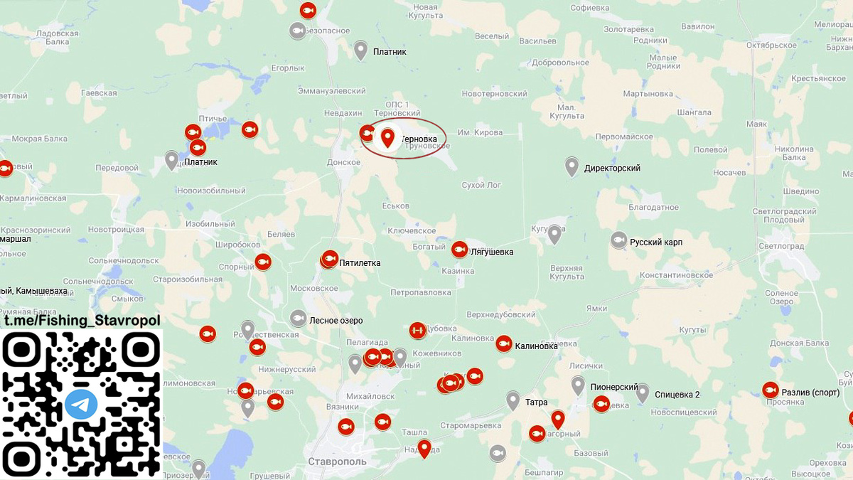 Платная рыбалка водоем "Терновка"