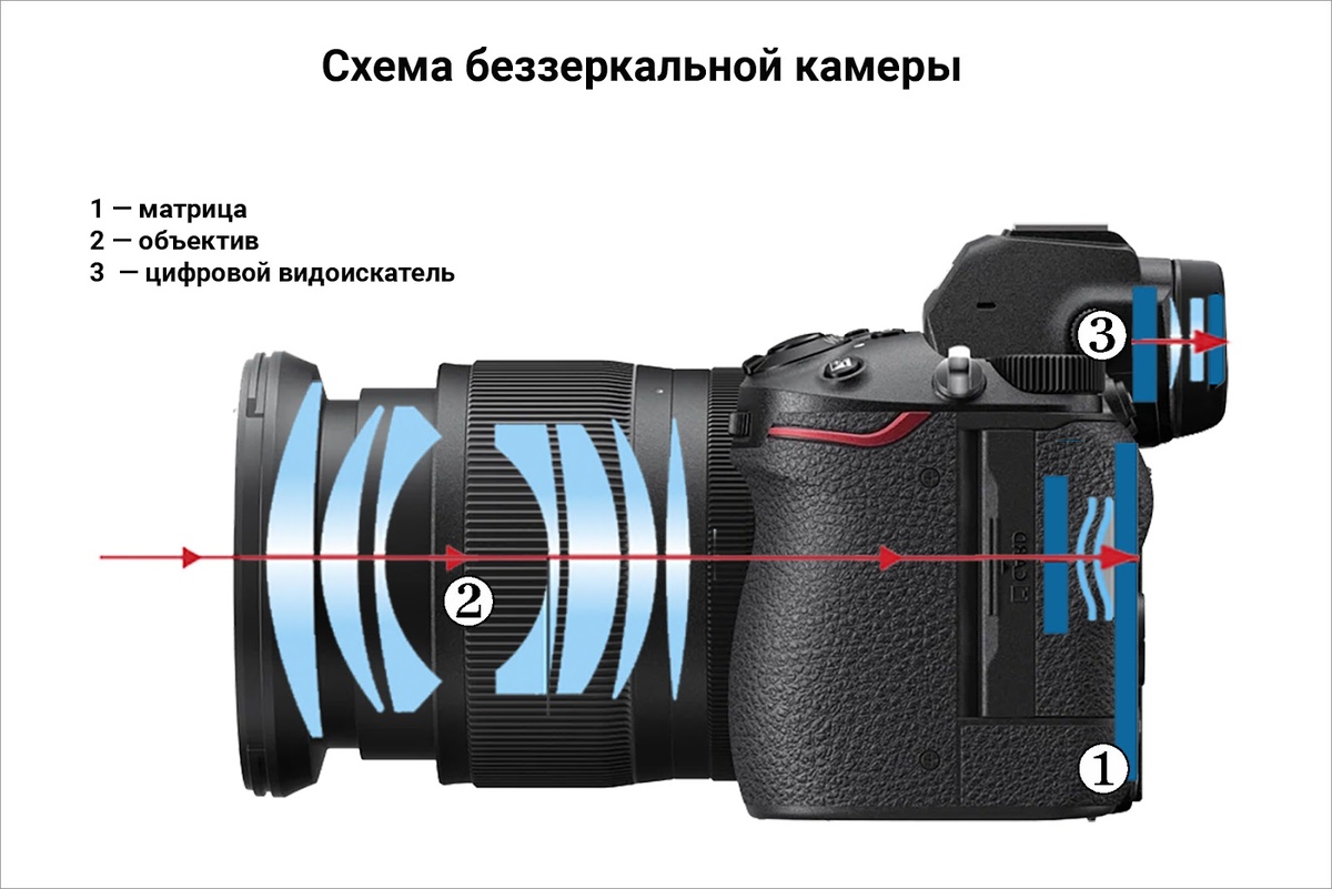    Иллюстрация: Виктория Лютая