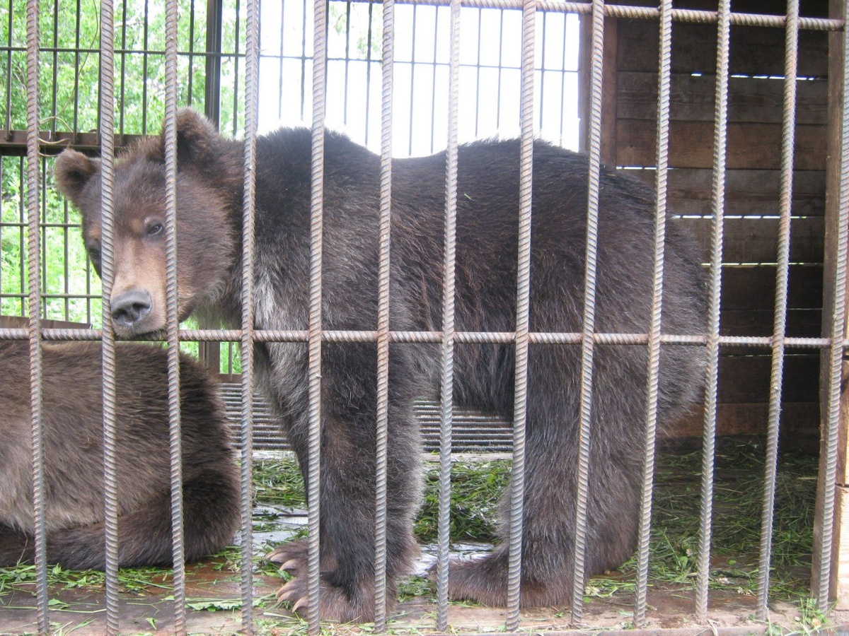 Кайныран. Камчатка