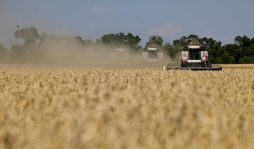    Фото: уборка урожая в Ростовской области, кадр ПРО Веселовские вести