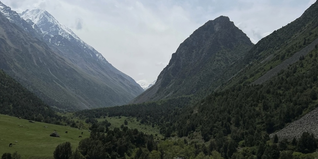 Викторина 🧭 "Географический Эрудит"