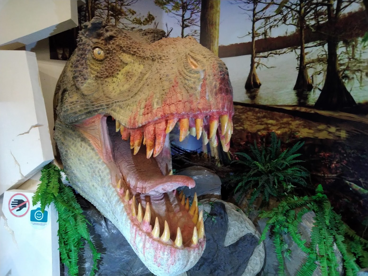 Скриншота за старостью игры добыть не удалось, так что делюсь музейным фото схожей тематики