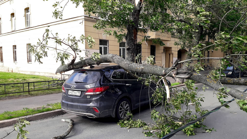 На момент публикации власти отчитались о пяти пострадавших горожанах, 137 упавших деревьев и восьми поврежденных машинах. Тем не менее в Telegram-каналах районов и ЖК Петербурга периодически появляются фотографии поваленных на авто деревьев. В Приморском районе сразу около десятка машин накрыло забором из профлиста. На улице Аккуратова на остановке у Кардиоцентра им. Алмазова упавшее дерево и вовсе перекрыло дорогу .📷Фото: Андрей Цедрик / Коммерсантъ