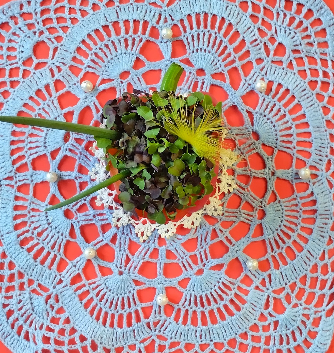 Микрозелень редиса Санго и Китайского розового.