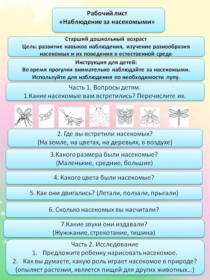 Рабочий лист для воспитателя